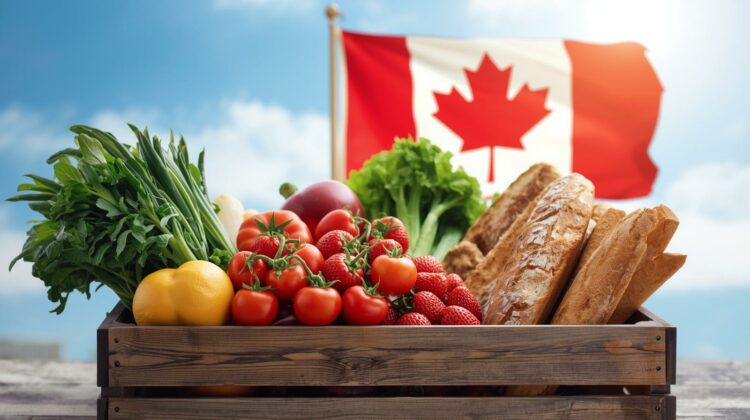 $628 Canada Grocery Rebate in February 2026: Who Qualifies, How Much You’ll Get, and When the Payment Is Coming