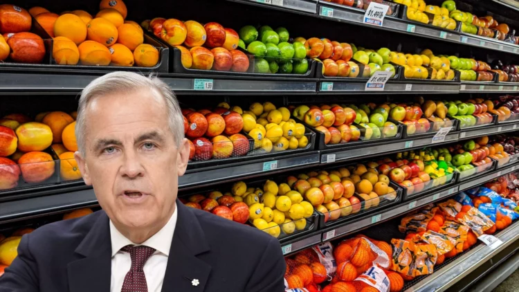 Confirmed New Canada Grocery Benefit Payments Coming in Mid-2026